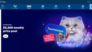 Quebec Online Gambling a Target for Election Hopefuls