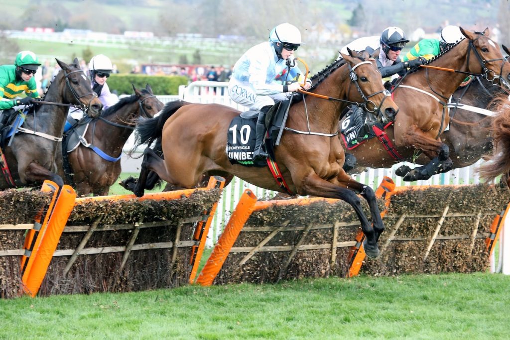See Ed Quigley's horse racing tips for Cheltenham on Saturday, 24 October 2026.