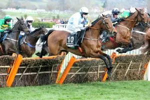 Horse Racing Tips: Ed Quigley's Cheltenham Best Bets for Saturday, 24 October