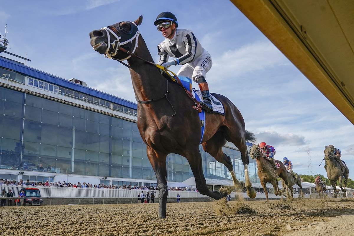 Get Ed Quigley's horse betting tips for Saturday, 8 August, 2026, at Newmarket, Ascot, and Haydock.