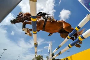Horse Racing Tips: Ed Quigley’s Warwick Best Bets for Tuesday, 22 September