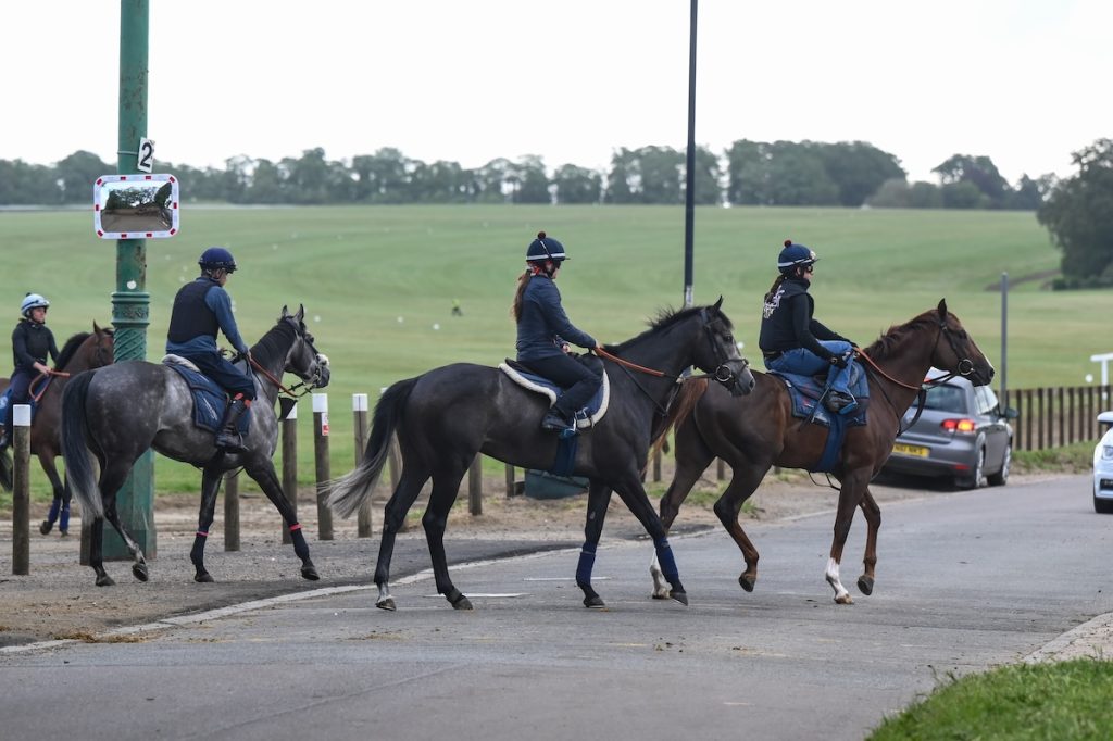 See our horse racing tips and Newmarket best bets for Saturday, 26 September.