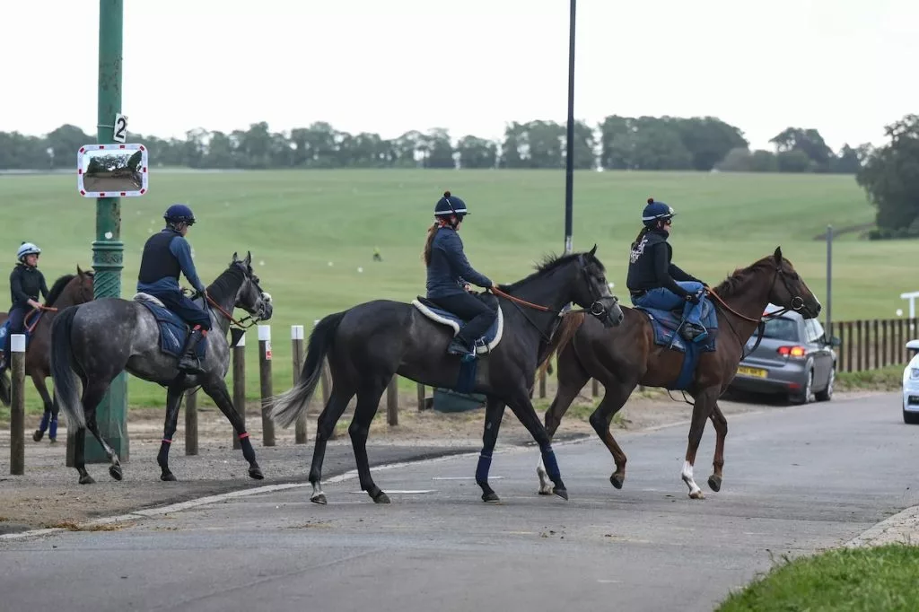 See our horse racing tips and Newmarket best bets for Saturday, 26 September.