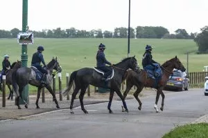Horse Racing Tips: Ed Quigley’s Newmarket Best Bets for Saturday, 26 September