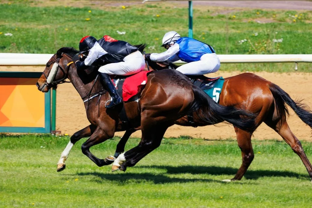 Check out Ed Quigley's Paris Longchamp horse racing tips and Arc Day best bets.