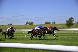 Horse Racing Tips: Perfect Your Craft Looks is the One to Beat at 5/2 on Wednesday, 8/7