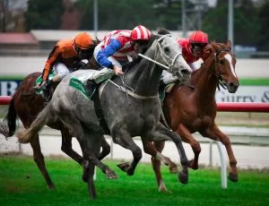 Royal Ascot 2026 Preview - What Are The Best Bets This Week?