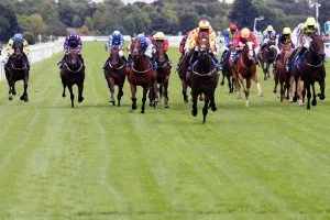 Horse Racing Tips: Ed Quigley's York Best Bets for Saturday, July 25 - Pride Of Arras Picks
