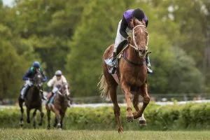 Horse Racing Tips Today – Ed Quigley’s Best Bets for Tuesday 19 May