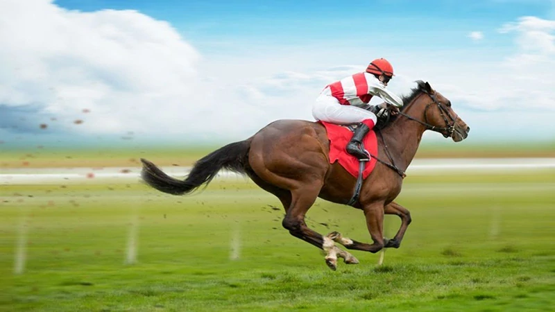 Explore the Best Horse Racing Betting Sites for US Players: Top Platforms Reviewed for [yyyy]