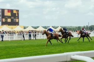 Ed Quigley's 2026 Royal Ascot Preview