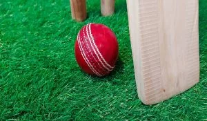 Cricket Betting Tips: T20 Best Bets For Today 31 May