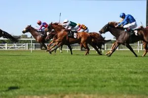 Horse Racing Tips Today – Ed Quigley’s Royal Ascot Preview for Tuesday 16 June
