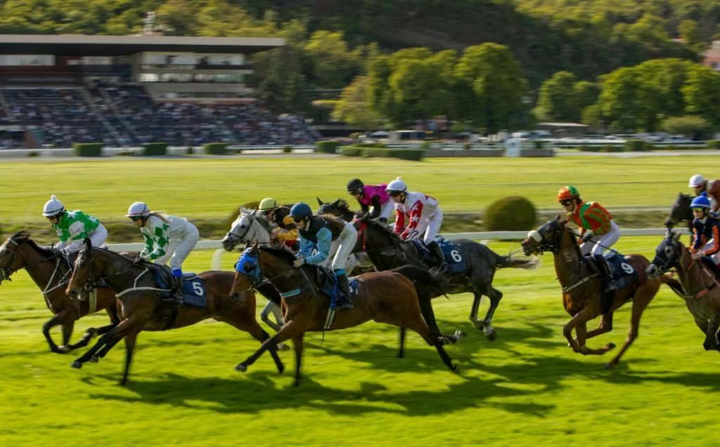 horse racing odds