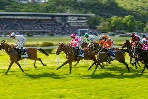 Horse Racing Tips: Market Rasen 2:10 - Louis Veron Is the One to Beat at 15/8 on Saturday 18/7