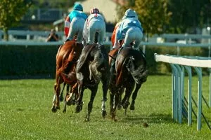 Horse Racing Tips: Saddadd Looks the E/W Bet at 7/1 on Saturday, 4/7