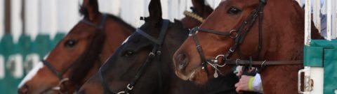 New Las Vegas Sportsbooks Are Shunning Horses