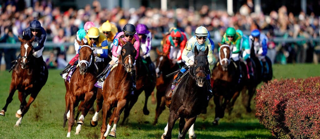 breeders cup 2019 betting