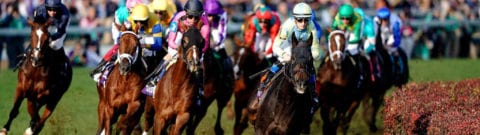 Breeders' Cup Betting Guide | Odds, Strategy, And How To Place Your Bets