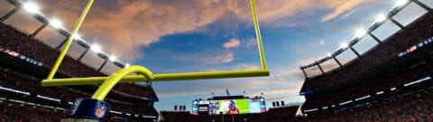 BetWildwood Online Sportsbook Review