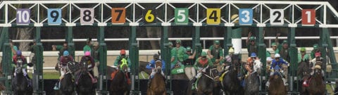 Winning Bets Not Paid In Horse Racing After Tampa 'Tote Delay' On Road To Kentucky Derby