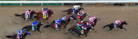 DK Horse Racebook - App Review & Promo Code