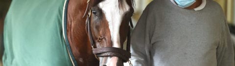 Travers Stakes Betting Guide | Odds, Post Positions And Predictions