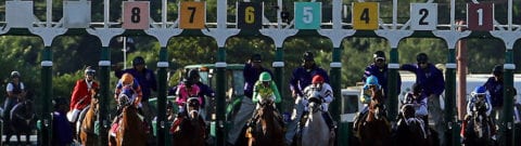 Haskell Stakes Betting Guide | Post Positions, Odds And Race History