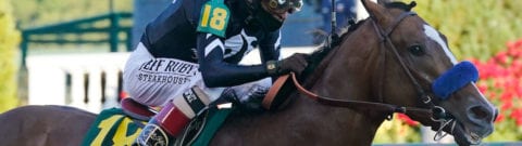 Preakness Stakes Betting Guide: Odds, Post Positions, And How To Pick A Winner