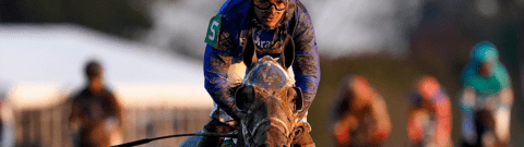 2021 Kentucky Derby Picks: How To Find The Winner