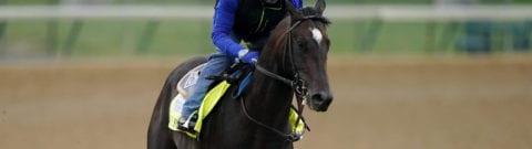 Kentucky Derby Horse Racing Odds Explained: Different Than American Moneyline, Spread