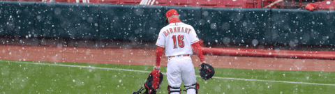 Little-Known Sportsbook Baseball Rule Can Flip Bets For Suspended Games
