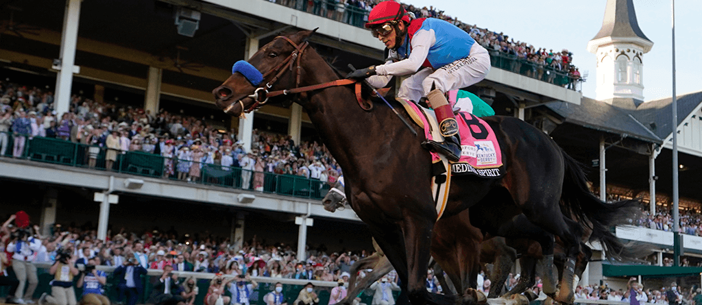 Preakness horses