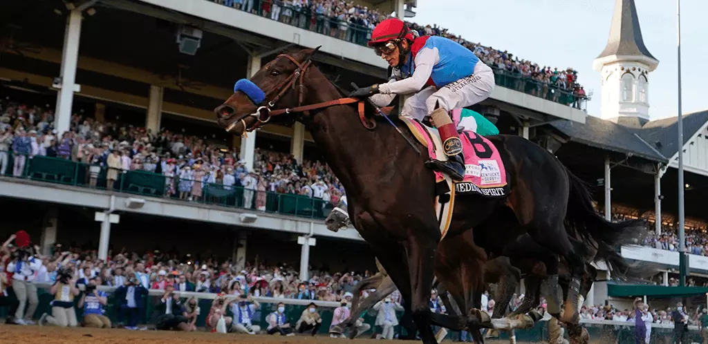 Preakness horses