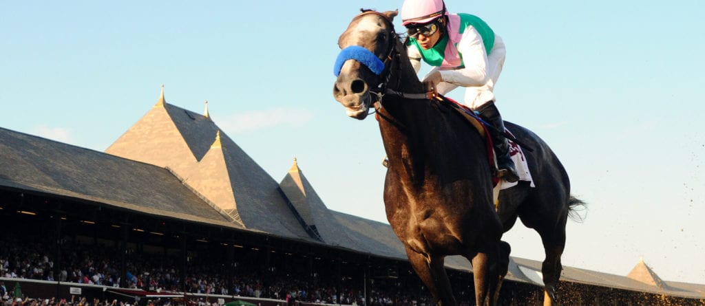 Saratoga horse racing odds betting