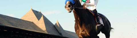 Saratoga Horse Racing Betting Guide and 2024 Summer Racing Schedule