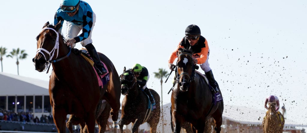 Del Mar odds horse racing lines