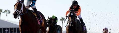 Del Mar Horse Racing Betting Guide 2024