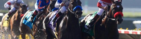 FanDuel Racing Pacific Classic: Betting Guide For The Horse Race