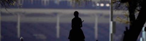 Kentucky Derby 2022: Tawny Port Horse Racing Profile