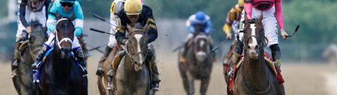 Preakness Stakes Payouts: Win, Place, Show Results