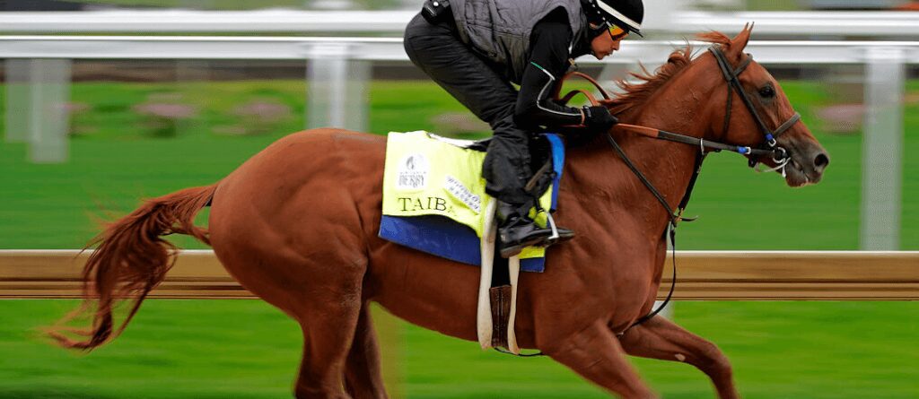 Taiba