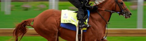 Kentucky Derby 2022: Taiba Horse Racing Profile