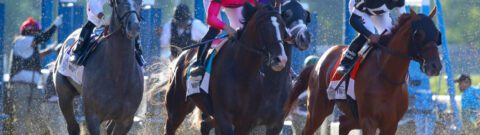 Belmont Stakes Payouts: Win, Place, Show Results