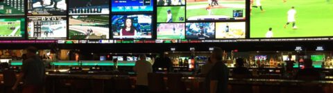 Maryland Reaps $497 Million In Betting During First Full Month