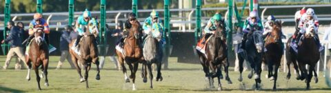 Pegasus World Cup Odds: Betting Guide For Gulfstream Park Event