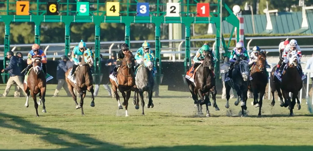 Pegasus World Cup odds