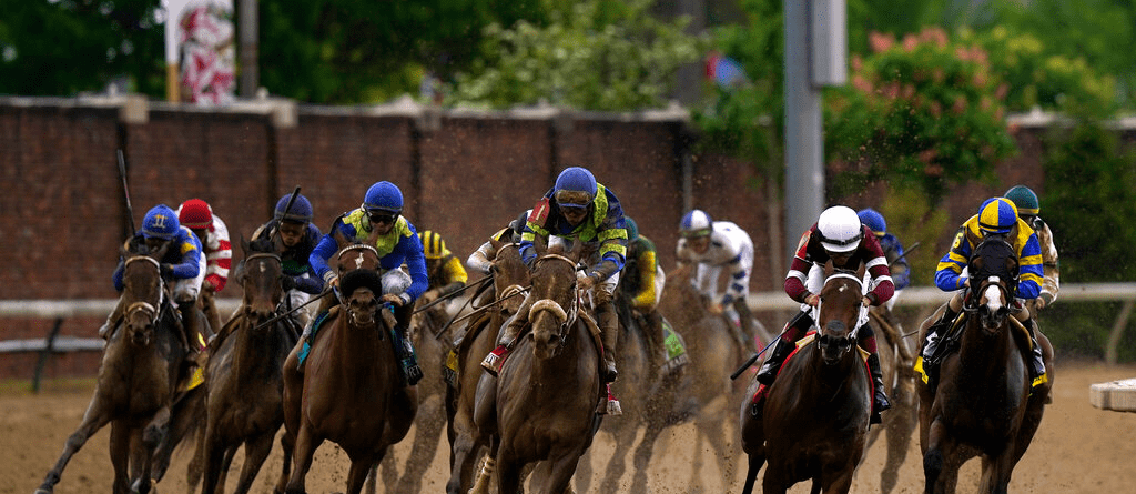 Jace's Road Kentucky Derby Profile