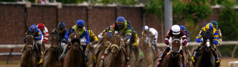 Preakness Stakes 2023: Blazing Sevens Horse Racing Profile