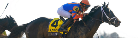 Belmont Stakes 2023: Forte Horse Racing Profile
